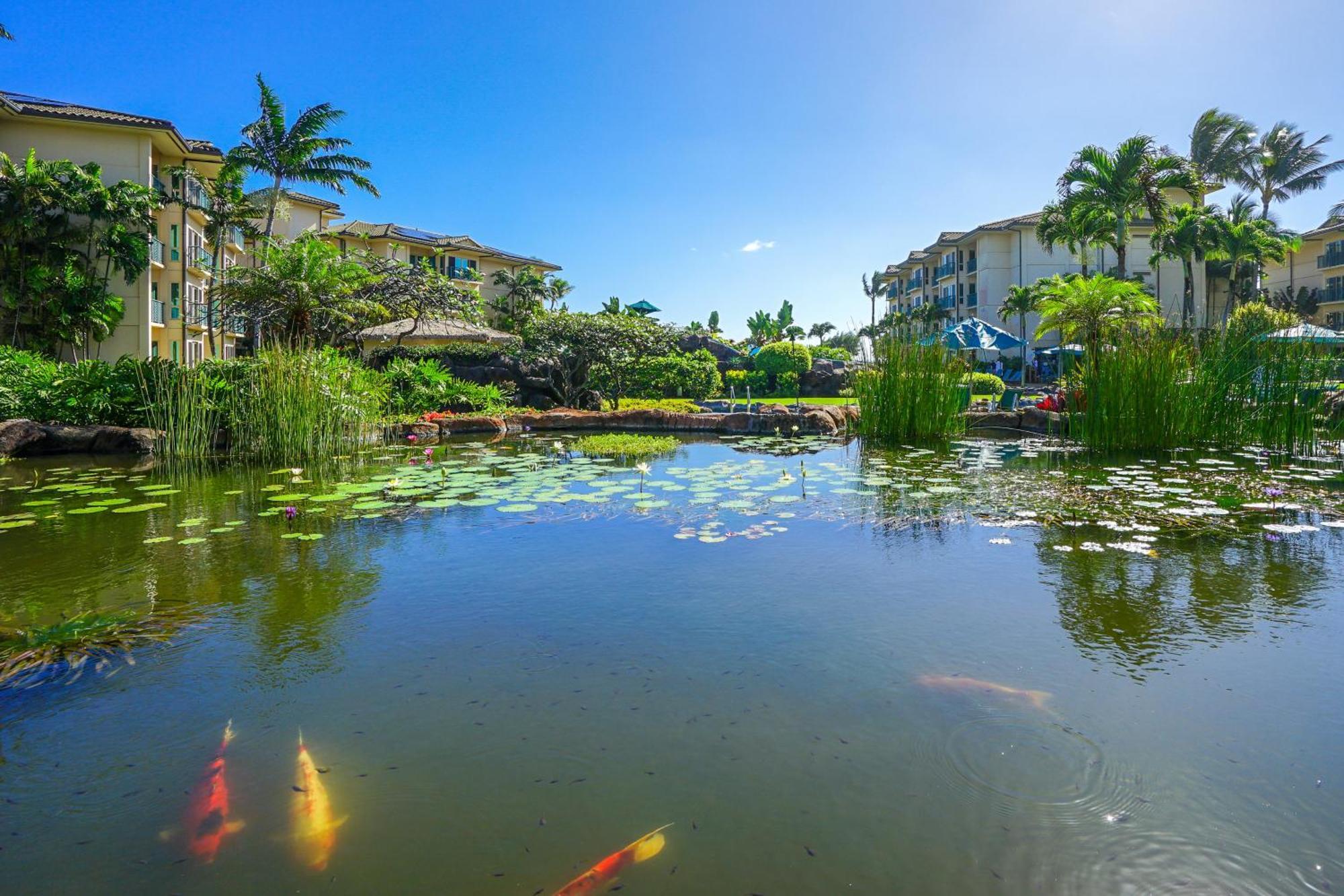 Waipouli Beach Resort カパア 部屋 写真